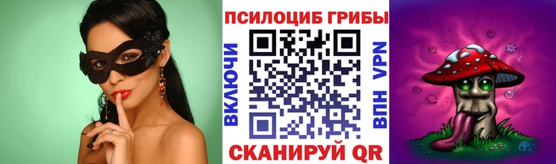 Галлюциногенные грибы Psilocybe  Обнинск 