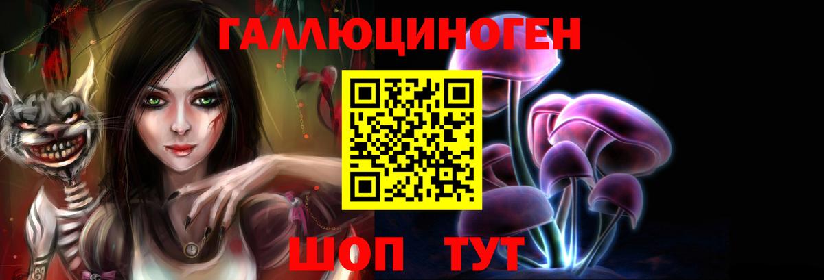 Псилоцибиновые грибы Psilocybe Обнинск